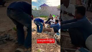 សែនក្រុងពលីធ្វេីផ្ទះថ្មី#shorts