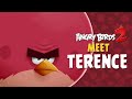 Angry Birds 2 – Meet Terence: Big, Bad, Bold!