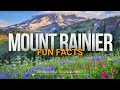 86: 5 Fascinating Fun Facts About Mount Rainier National Park