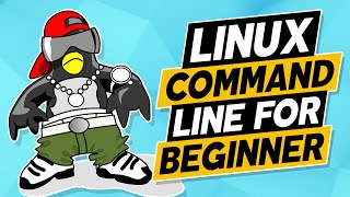 linux for beginners: Users, Groups, Permissions