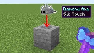 safest way to break infested stone