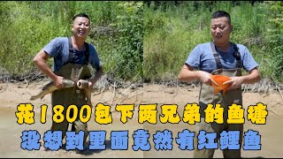 花1800元包下两兄弟养的鱼塘，没想到里面竟然有红鲤鱼 #户外抓鱼 #户外捕鱼 #小飞哥抓鱼 #乡村生活 #农村生活