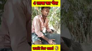 4 करोड़ का भैस के मालिक घमंडी 😳😳 || Arrogant owner of 4 crore Buffalo 😳😳 #funnyvideos #shorts