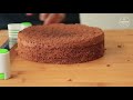 soft mocha sponge cake