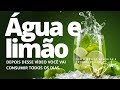 Para que serve ÁGUA COM LIMÃO? 10 benefícios que você não sabia | Dr Dayan Siebra