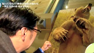 カナフルTV　2月4日放送内容　知って守ろう　レッドデータの生き物たち～県立生命の星・地球博物館～