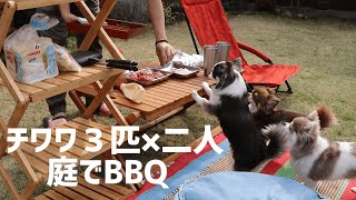 【チワワとBBQ】お肉大好きな愛犬と庭でマッタリバーベキュー