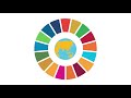 Monitoring the 2030 Agenda for Sustainable Development: the role of  FAO