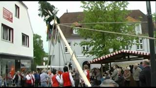 Maibaum