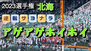 【サヨナラの瞬間】北海 アゲアゲホイホイ＋校歌も全力【アルプススタンド】