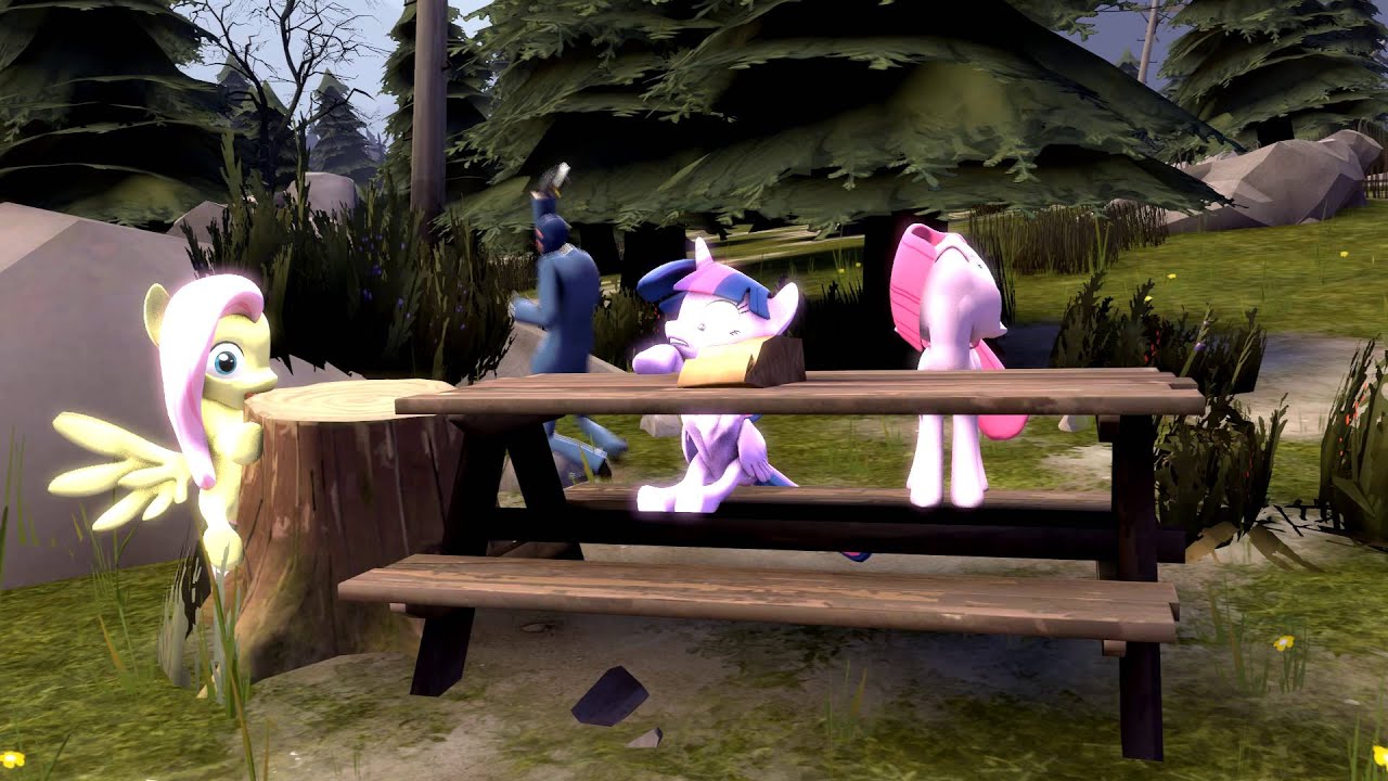 Sfm Training Session Youtube