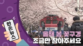 [N년전뉴스] 봄꽃 구경, 올해는 조금만 참아주세요 / YTN