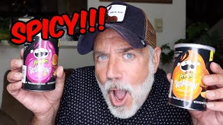 TRYING SCORCHIN HOT PRINGLES! OUCH!