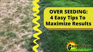 Overseeding - Preparing Your Lawn for Seeding