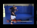 georges st pierre s gsp mma technique