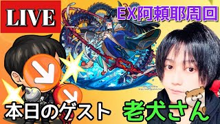 【禁忌30 EX阿頼耶（あらや） 周回LIVE】本日のゲスト 老犬さん【まつぬん。】