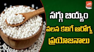 సగ్గు బియ్యం ఆరోగ్య రహస్యాలు ... |Health Benefits Of Saggubiyyam | Health Benefits | YOYO TV Health