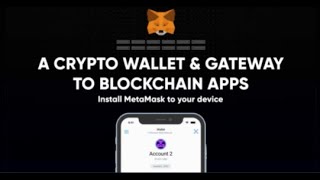 Connecting your MetaMask Wallet to Planet IX