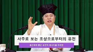 [도원(道圓)대학당 강의] 1222 사주오행, 영혼은 유전될 수 있나요?