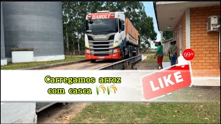 Carregamos o caminhão no Rio Grande do Sul “”””ARROZ COM CASCA “”””/ Vidapelaestrada