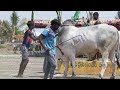 నన్నూరు గ్రామంలో న్యూ క్యాటగిరి విభాగం 4వ జత