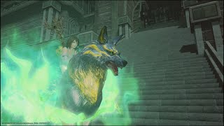 FF14 極神龍討滅戦 制限解除 白魔道士ソロ(11:22)