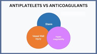 Antiplatelets vs Anticoagulants Explained