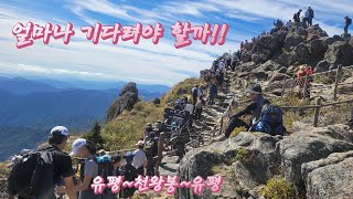 265번째 지리산 천왕봉 산행/잠시나마 우연한 동행/유평 코스/24.10.5/