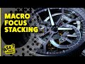 Macro Focus Stacking | Ask David Bergman