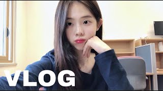 [vlog] 서울대 대학원생 조교의 시험기간 브이로그(나의 공부법,시험감독, 고양이, 집들이)