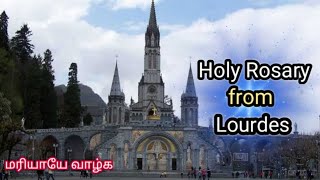 Holy Rosary from Lourdes || English Rosary || 15.02.2025