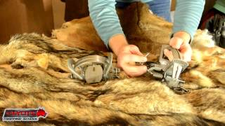 Coyote Trap Comparison and where to buy traps