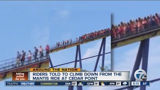 Mantis has problem at Cedar Point