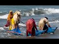 A husband and wife earn 50-60 thousand taka every month by catching oysters on the Cox's Bazar sea