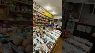 Expensive Indian Grocery store in Japan Mini vlog #shortsfeed #minivlog #food