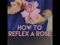 How to Reflex A Rose