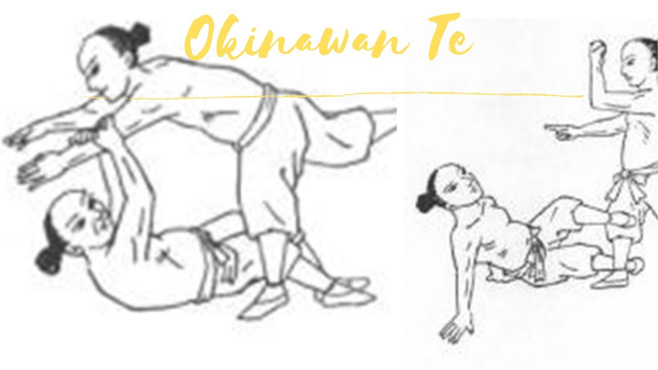 Karate Grappling Techniques At Jenny Collier Blog