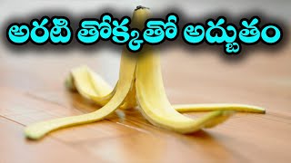 అరటి తొక్క గురించి మీకు తెలియని విషయాలు #jktv #rajahmundry #banana  #lordsiva #helthyfood #helth