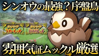 【ポケモンSV】シンオウの最強⁇序盤鳥！色証ムックル厳選！！【ゆっくり実況】【VOICEVOX実況】