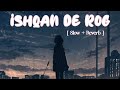 Ishqan De Rog | Deep Chambal Slow + Reverb | Lofi