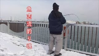 【ソロ釣り】３Ｍで根性みせます。