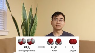 How and Why to Use Hydrogen Peroxide for House Plants