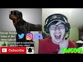Brewstew - Our Dog Otis Reaction!