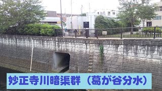 妙正寺川暗渠群（葛が谷分水）