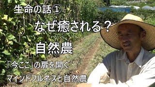 [自然農] 自然農の畑はなぜ癒されるのか？無限の可能性を秘めた「今ここ」の扉をひらく自然農とマインドフルネス