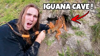 RESCUING FROZEN IGUANAS FROM UNDERGROUND CAVES !