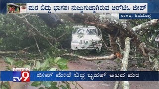 Heavy Rain Lashes Shimoga; Huge Tree Falls On RTO Jeep, Officials Escape Unhurt