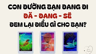 Con đường bạn đang đi đã, đang, sẽ đem lại điều gì cho bạn?🍎🍉🍒 - Chọn tụ bài (Timeless)