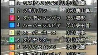 ダイナレター　ダート１０勝