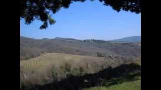 Uphill bike ride from Florence to Radda in Chianti Tuscany Italy